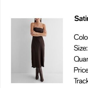Express satin dress- brand new